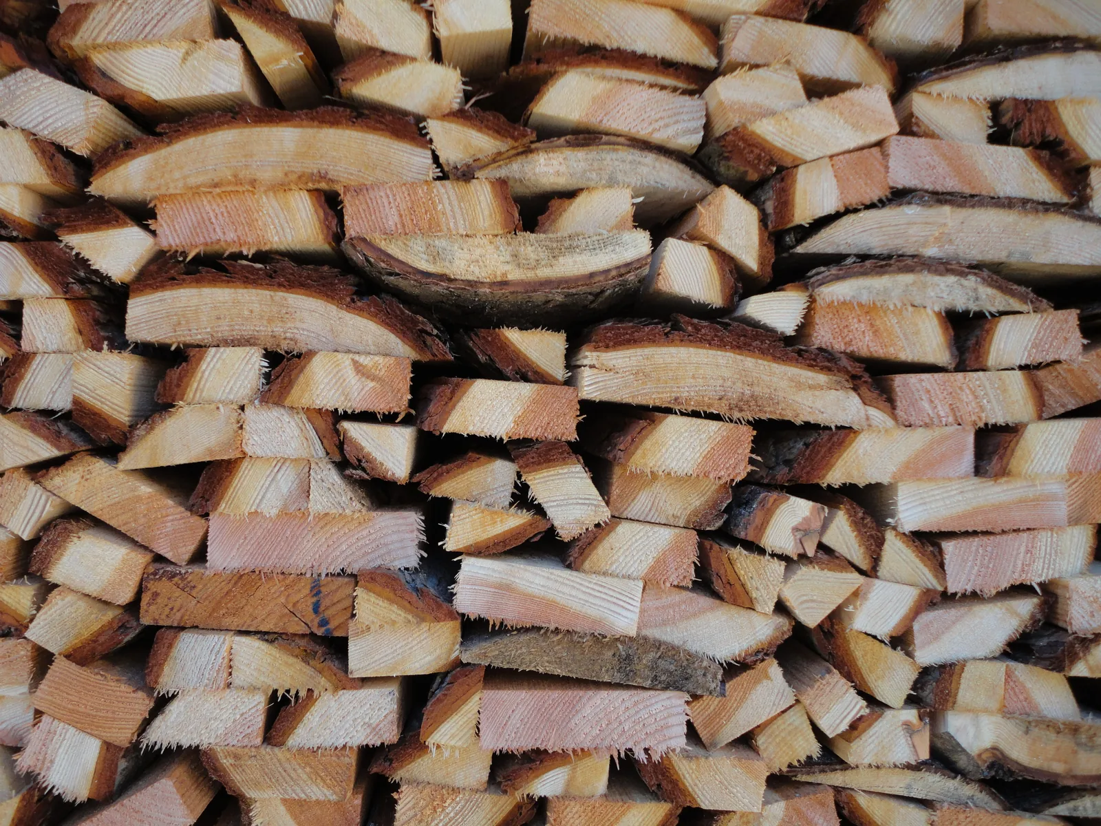 Spruce / Fir