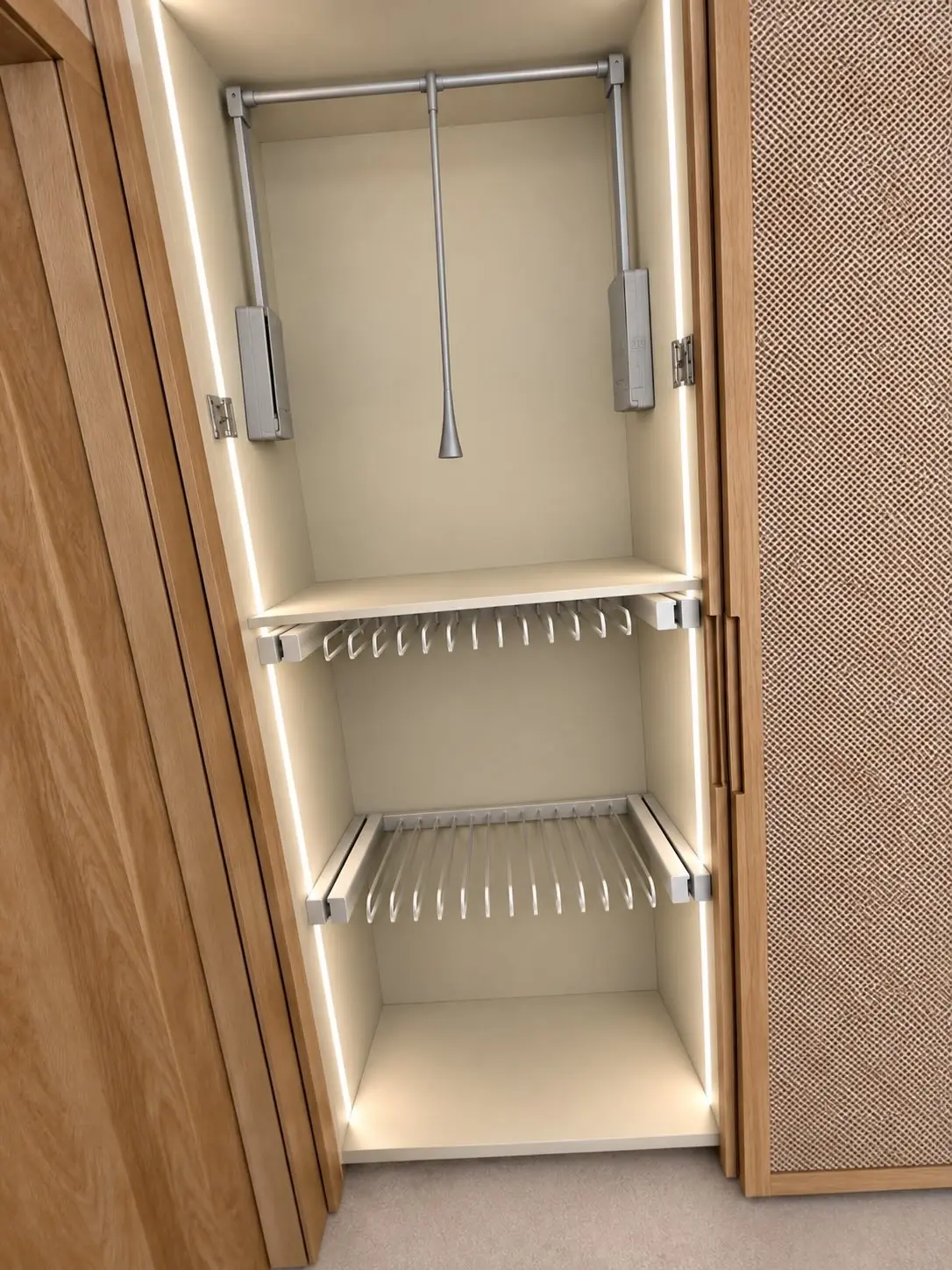 Wardrobe interior with pull-down rail, lighting and storage accessories